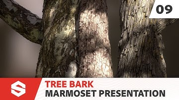 Tree Bark - Presentation with Marmoset Toolbag | Substance 3D
