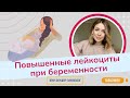 Повышенные лейкоциты при беременности / Виктория Матвиенко