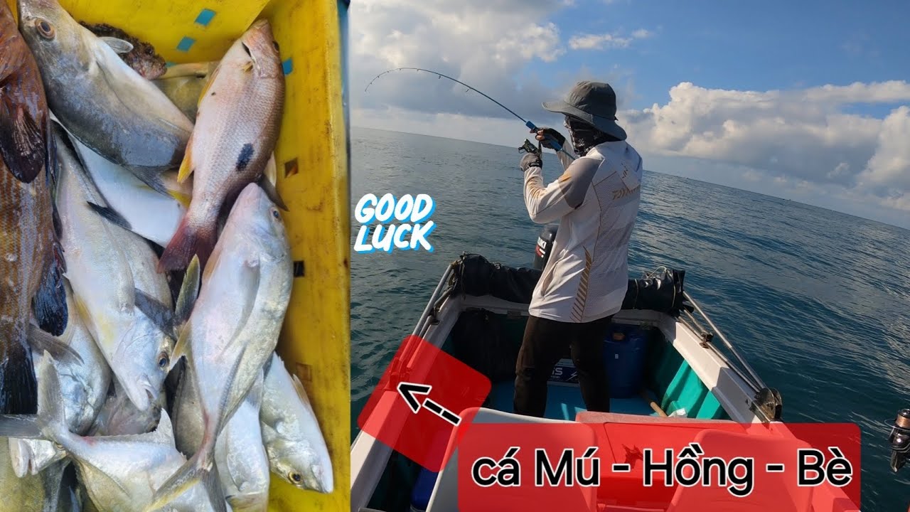 Câu cá biển gần bờ.Câu mini Jig cá Mú, cá Hồng,cá Bè,cùng anh em khán giả ...@