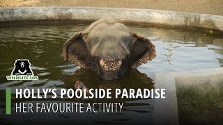 Holly's Poolside Paradise- Her Favourite Activity!