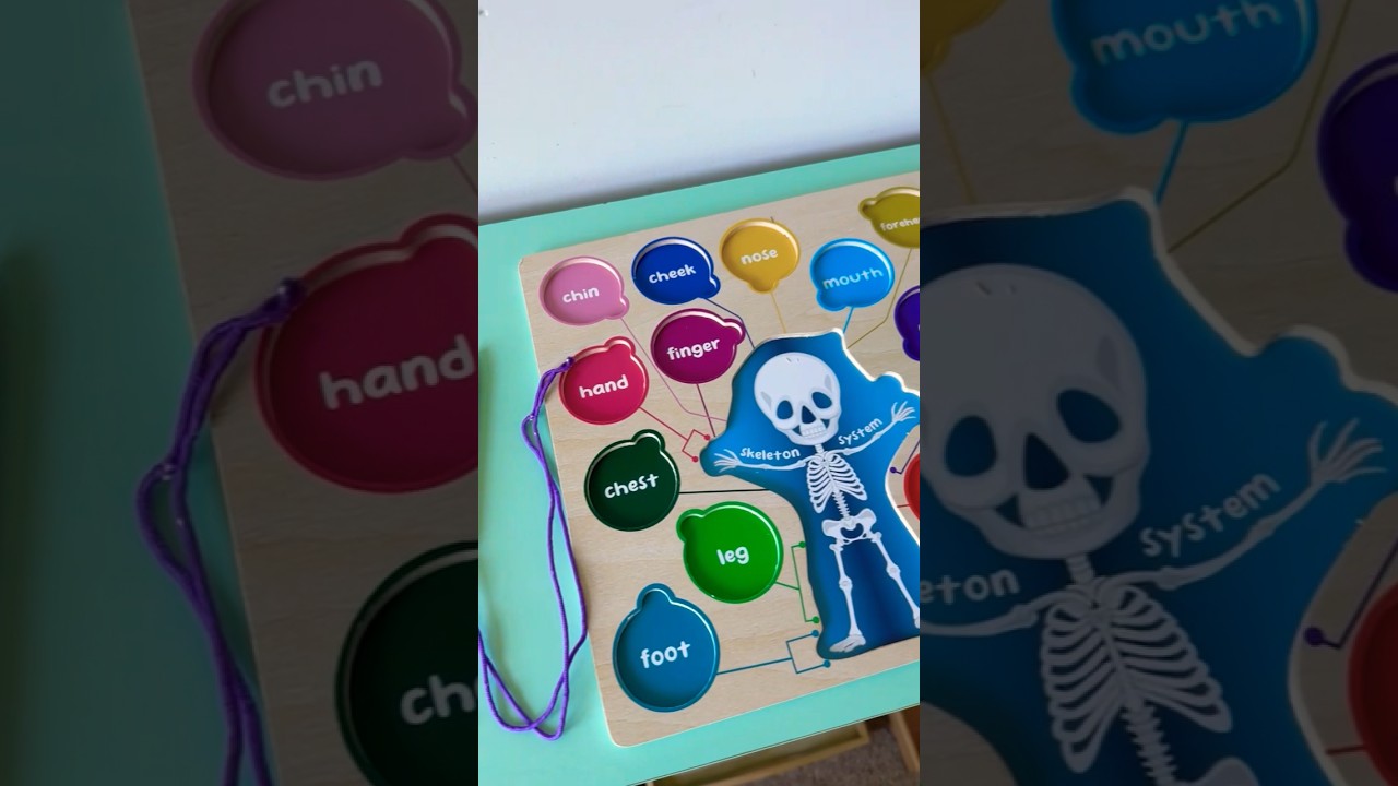 $$$ Montessori Shelf Tour | What's on my shelf Edition part 1  