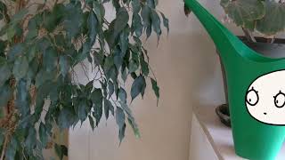 Den-Dal-4 - Doodle Disaster An-Bb