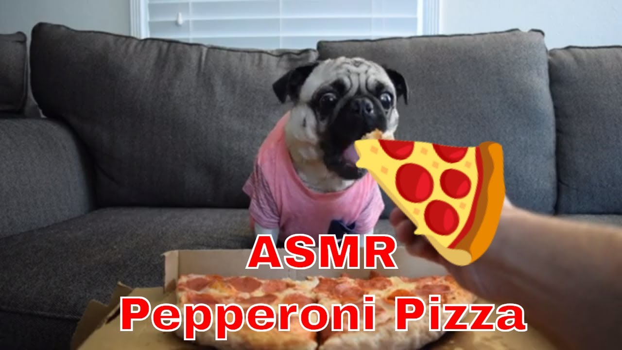 ASMR Dog Eating 🍕Pepperoni PIZZA 🍕 YouTube