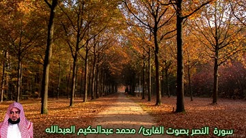 سورة النصر بصوت القارئ/ محمد عبدالحكيم العبدالله - Surat Annasr