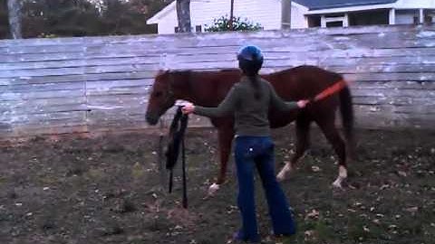 November 5, 2012 5:20 PM