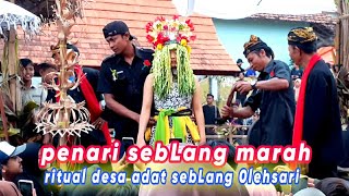 H + 4 penari sebLang marah !! Ritual desa adat sebLang 0lehsari 2023