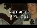 Grief After Losing A Pet,