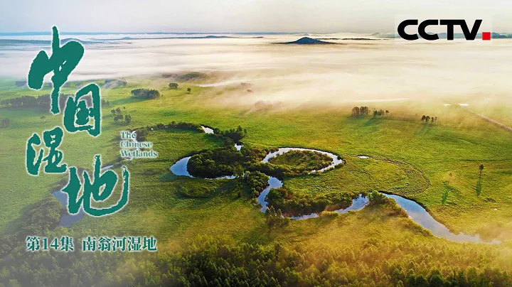《中国湿地》第14集 中国冷级：将生存推向极致！ The Chinese Wetlands【CCTV纪录】 - 天天要闻