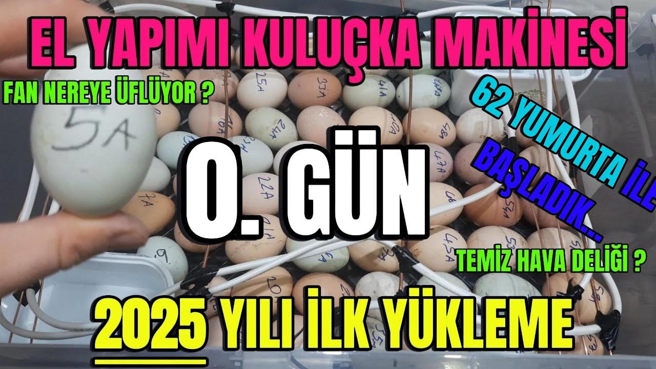 El Yapımı Kuluçka Makinesi 2025 🐣 | 0. Gün: 62 Yumurta Koyduk | Derece Ayarı | Kaç Civciv Çıkar? 🐥