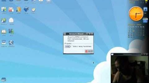 Puppy Linux wireless connection