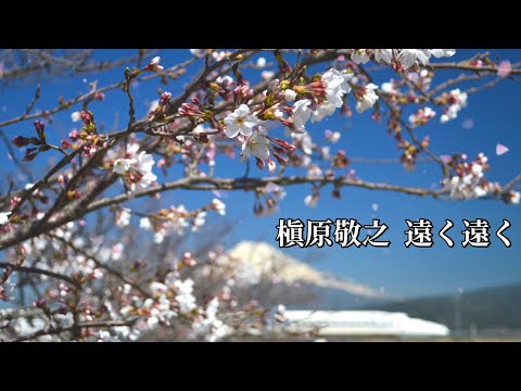 槇原敬之  遠く遠く(歌詞入り)