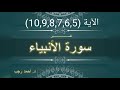 التفسير المبسط لسورة الأنبياء 5 6 7 8 9 10 لقد أنزلنا إليكم كتابا فيه ذكركم د أحمد رجب 