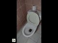Nettoyage WC substitut acide chlorhydrique à Vannes (56) | Ty Travaux & Cie