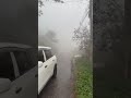 Rainy and foggy day in Manchester