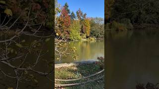 İstanbulda Sonbahar. Atatürk Arboretumu Şfet