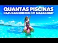 Quantas piscinas naturais existem em Maragogi? l Casados Por Ai