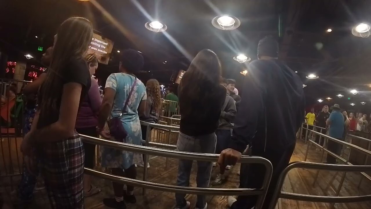 Tigris At Busch Gardens Tampa Bay Christmas Town at night