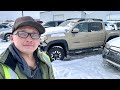 Exploring the biggest car auction in anchorage