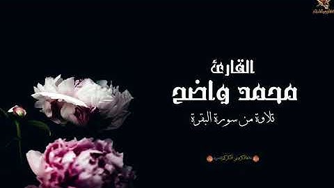 جديد القارئ واضح محمد | تلاوة من سورة البقرة