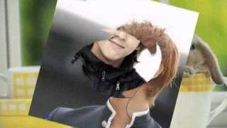 [Kiminland - VidFic]Love story of the Rabbits - part 4/5