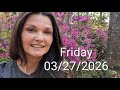 Vlog| Walking Around The Azalea Festival