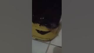 story' wa bokong semok black taem