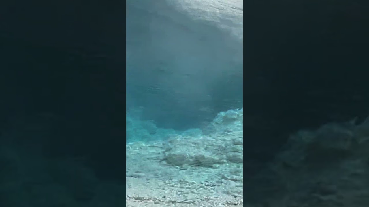 Lower geyser basin in Yellowstone National park 