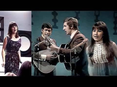 The Seekers live