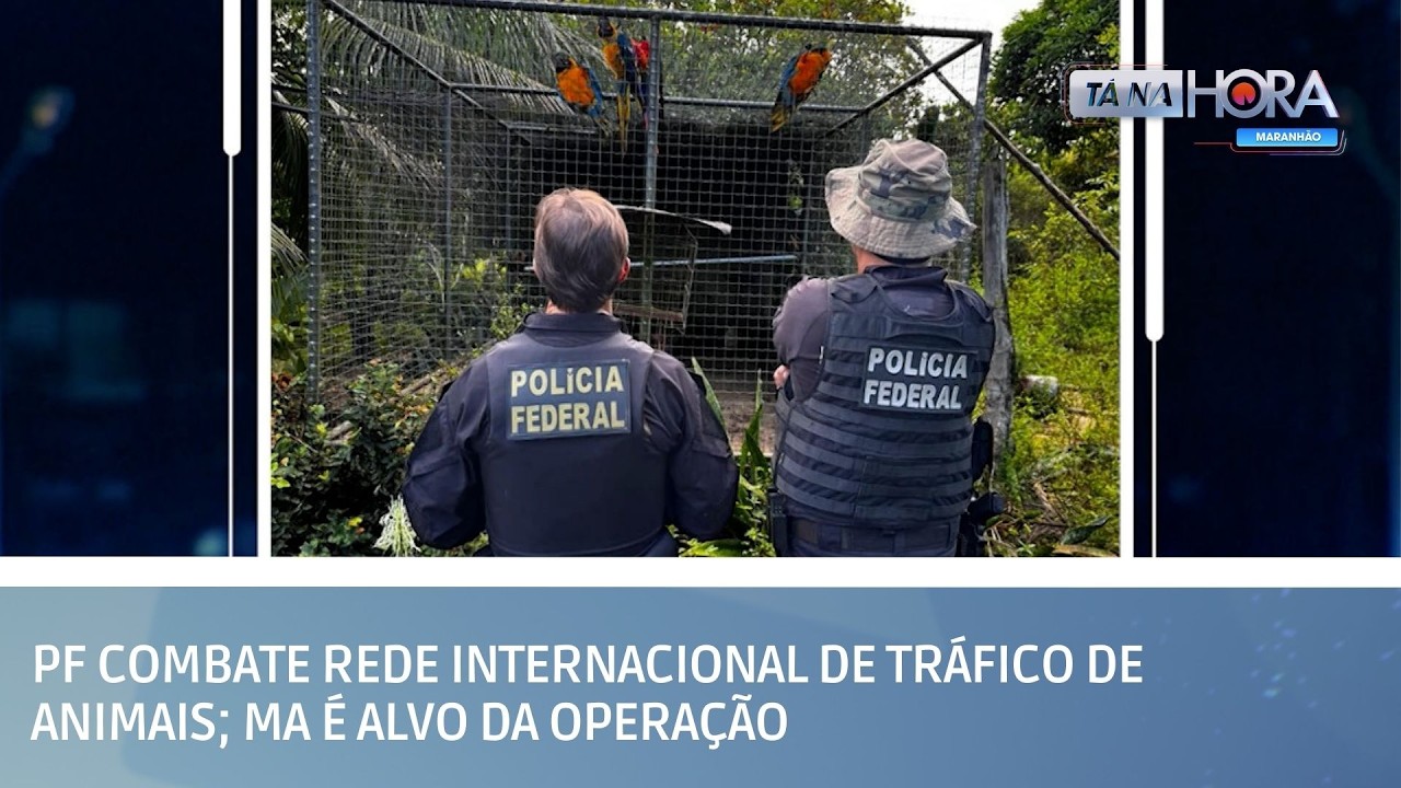 PF combate rede internacional de tráfico de animais; MA é alvo da operação | TÁ NA HORA MA