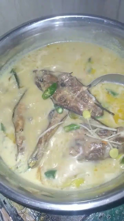 Ahh ... Masak terserah lodeh ...