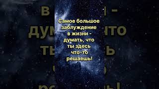 В закрытом канале происходит прямая передача знаний 🔥 Подписывайся 🫶 Ссылка в описании канала 😊