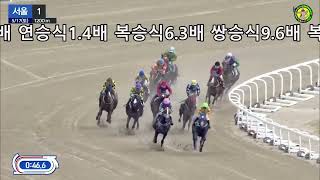 말꼬리AI 경마예상 적중!5월17일 서울1경주 단승식 3.3배 연승식1.4배 복승식6.3배 쌍승식9.6배 복연승식2.3배