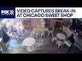 Thieves break into Chicago sweet shop, video shows