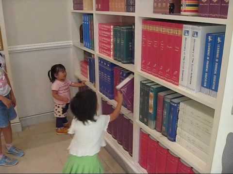 Haunted Bookcase