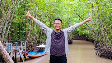 Tour xuyên rừng đước - Du lịch sinh thái Đất Mũi - rất đáng để trải nghiệm!