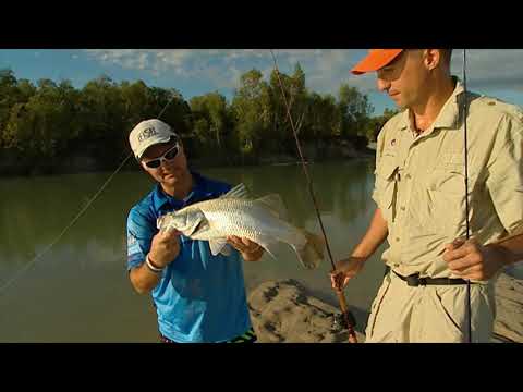 IFISH land based
