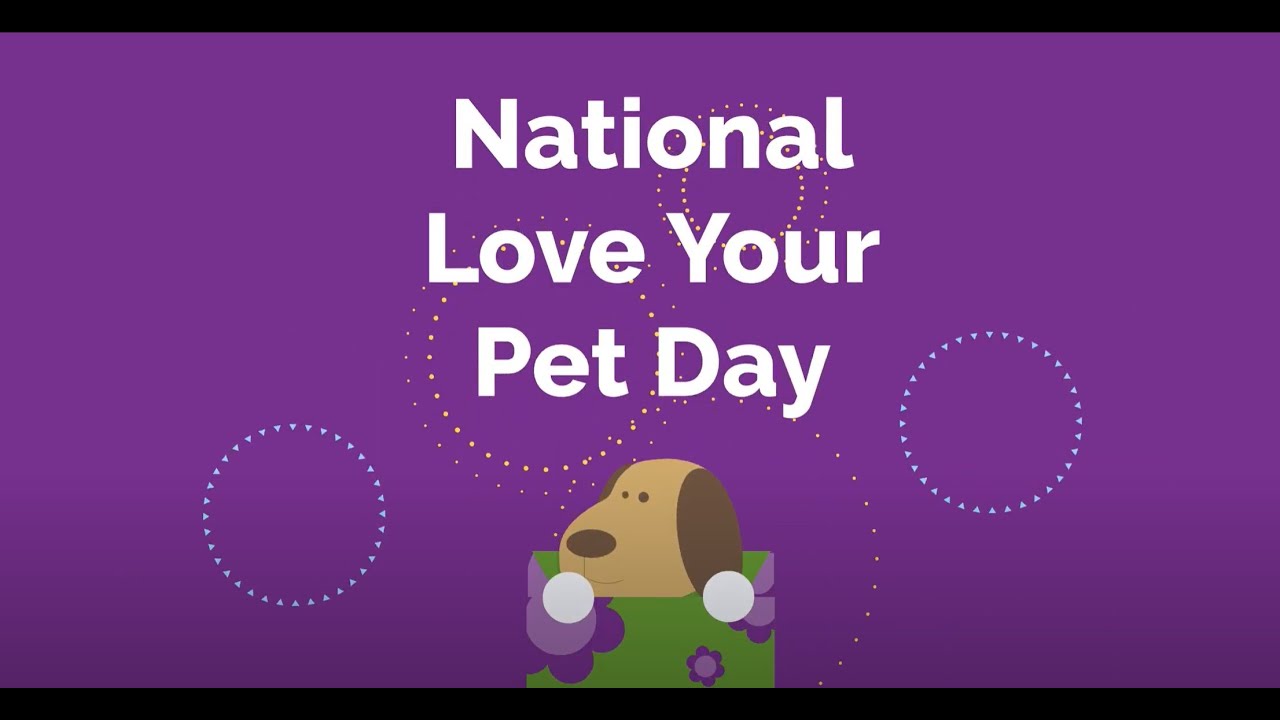 IPMG Love Your Pet Day 2022 YouTube