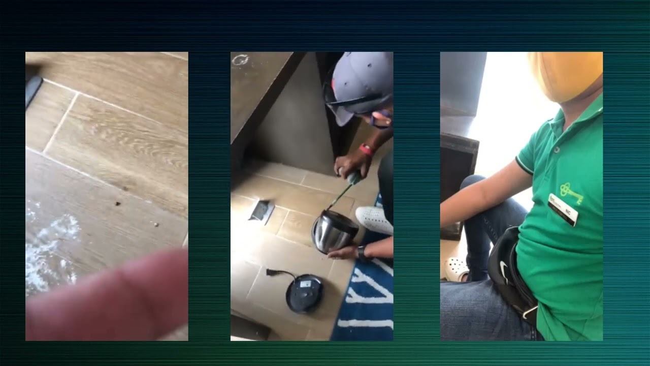 E Pest Solutions Services