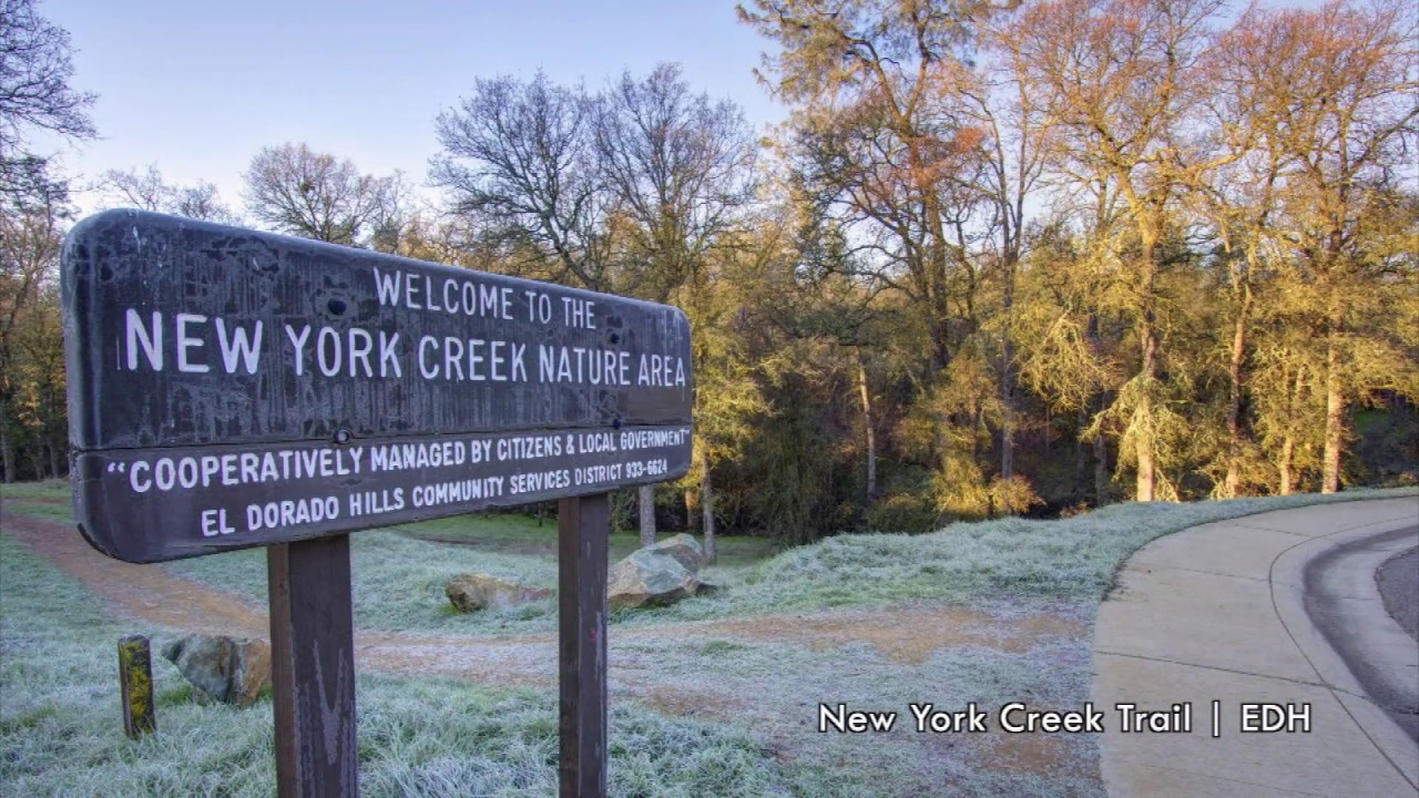 Image result for new york creek