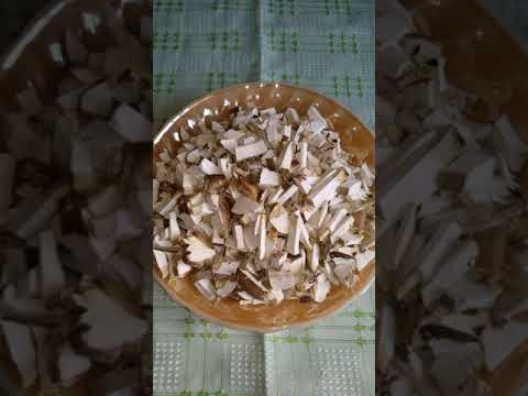 БЕРЕЗОВАЯ ГУБКА И ЛЕЧЕБНОЕ СНАДОБЬЕ ИЗ НЕЕ.