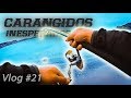 Carángidos INESPERADOS en la PLAYA | Lured Vlog 21