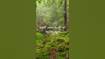 راحة نفسية مع تلاوة الشيخ محمد الفقيه