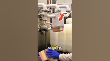 “This Factory Moves Like It’s Alive – So Satisfying to Watch”