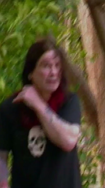 ozzy osbourne chicken cat