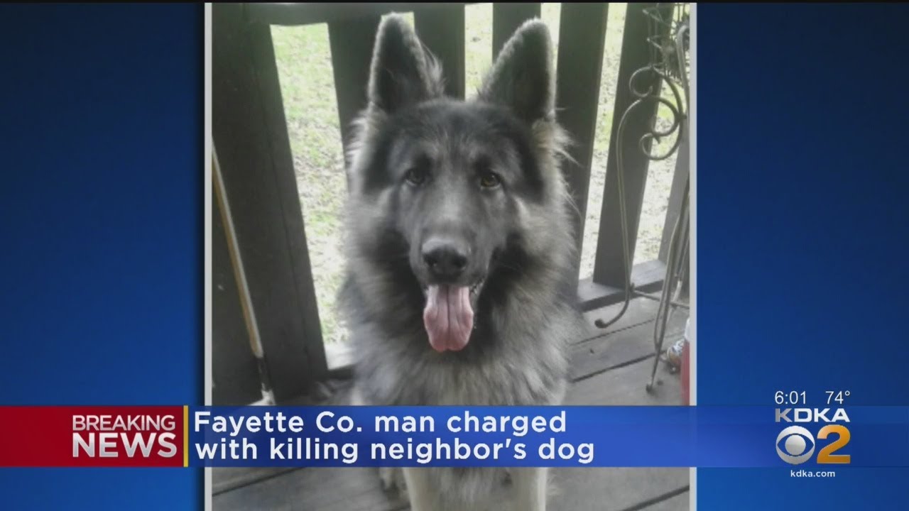 Fayette County Man Charged With Killing Neighbor's Dog