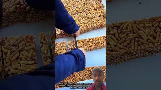 Download Lagu Cutting Brown Sugar Sachima: Skilled Hands Slice Fast and Even MP3