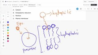 AAMC OFFICIAL FL5 (Free Scored Practice) B/B Passage 3 Explanations