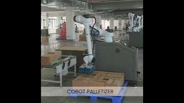 COBOT Palletizer Automation: High-Speed Palletizing & Depalletizing