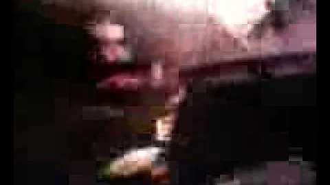 Video-0014.mpeg