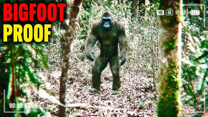 Amazing BIGFOOT EVIDENCE It Must Be Seen To Be Believed - YouTube